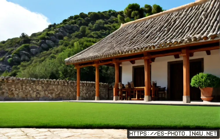사진 자격증 갱신 방법과 주의사항 관련 이미지 2
